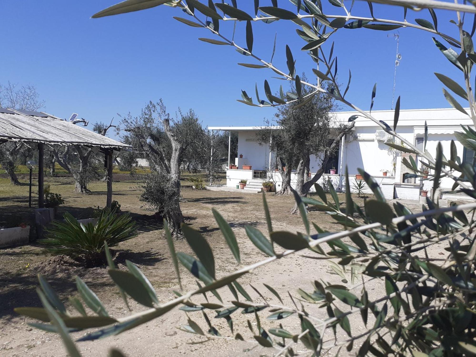 Casa Vacanza Fiorella Torre dell'Orso Phòng bức ảnh